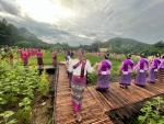 ประเพณีตักบาตรข้าวต้มลูกโยนจังหวัดสระบุรี